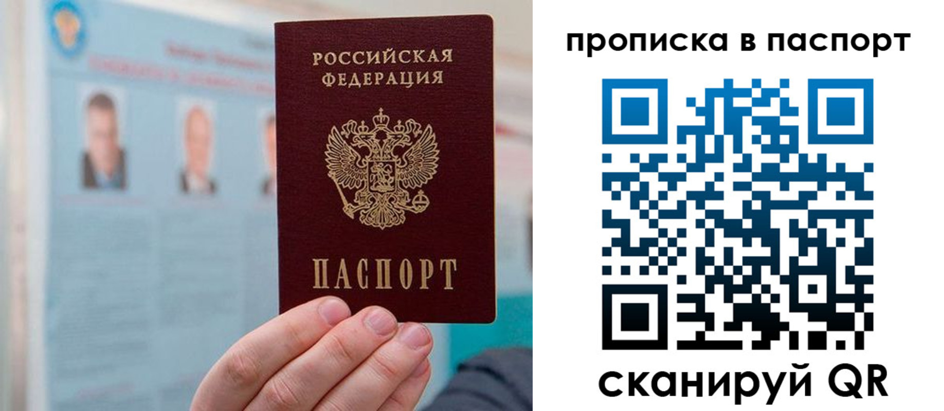 прописка гарантия в Новом Осколе